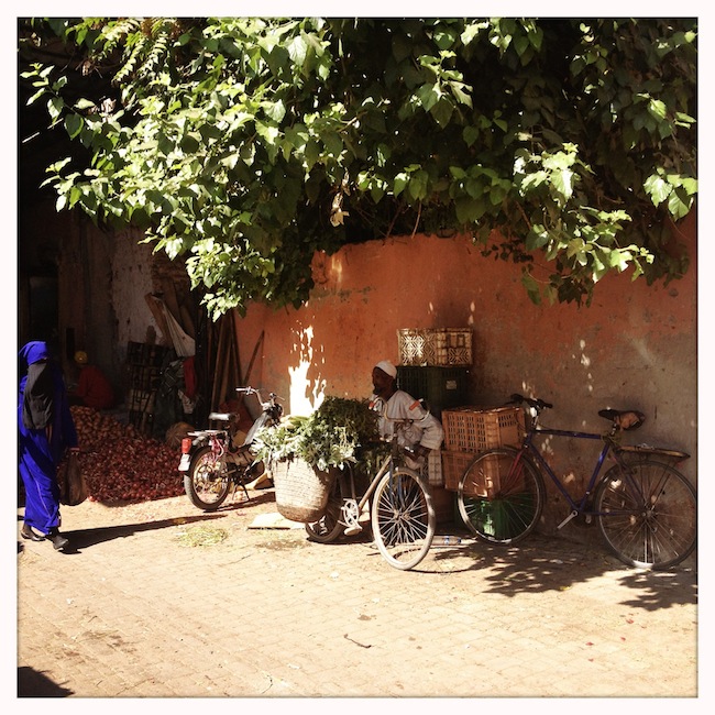Les mille et une nuits à Marrakech | Lovalinda x Medina x Souk x Marchand à Vélo